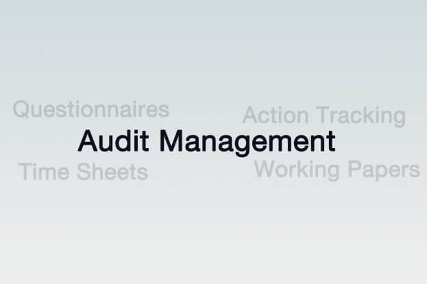Audit Management Software