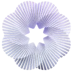 Centrally manage controls and policies with a platform that’s intuitive to use, fully customisable, and effortlessly embeds into your existing risk framework.